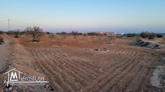 Terrain 2600m 1er position