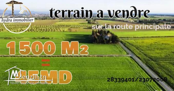أرض مساحتها 1500م² على الطريق الرئيسي بالهوارية