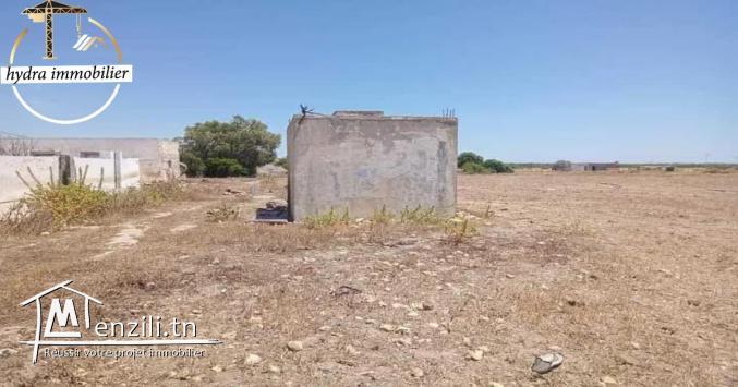 سانية مساحتها 15000م²