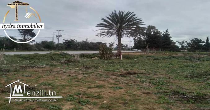 أرض بالتقسيط على الطريق