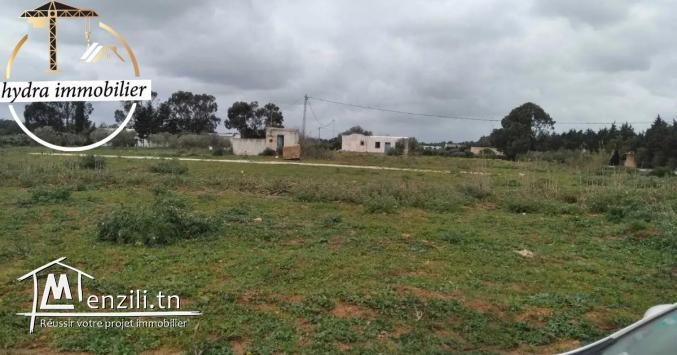 أرض بالتقسيط على الطريق