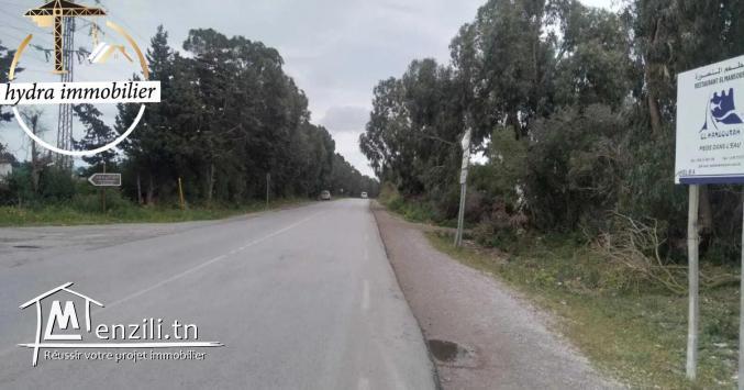 أرض بالتقسيط على الطريق