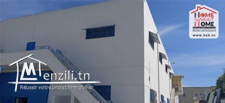 Usine Giovanna à Louer à Bhar Lazreg