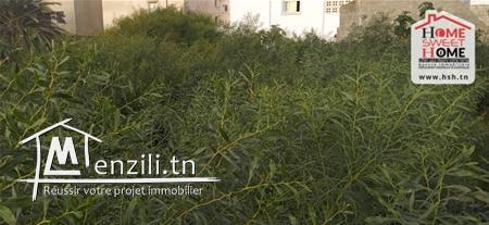 Terrain Michelle à Vendre à Sidi Daoud