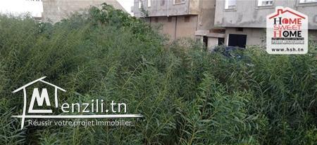 Terrain Michelle à Vendre à Sidi Daoud