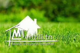 Spacieux Terrain à vendre à Rue de Parc La Soukra