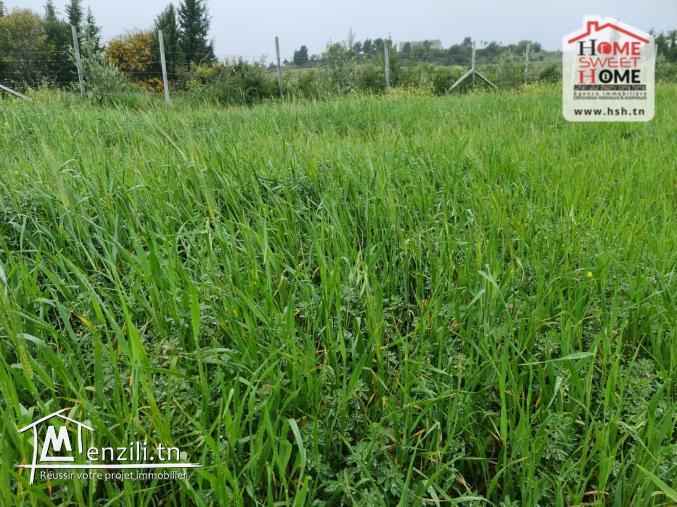 Terrain Agricole Safi à Vendre à Mornag