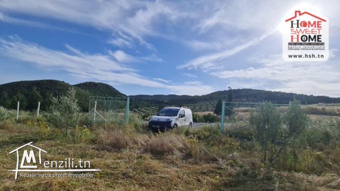 Terrain Agricole Safi à Vendre à Mornag