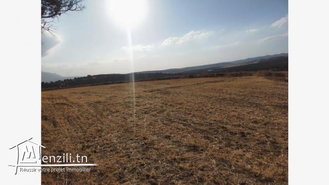 vente terrain agricole