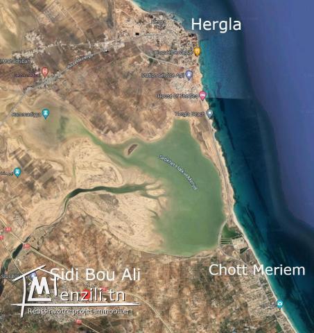 Terrain à vendre à Sidi Bou Ali, Route de la plage