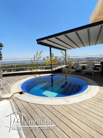 Vente – luxueux penthouse avec une belle vue
