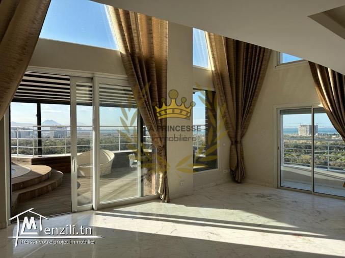 Vente – luxueux penthouse avec une belle vue