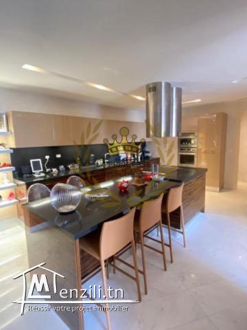 Vente – luxueux penthouse avec une belle vue