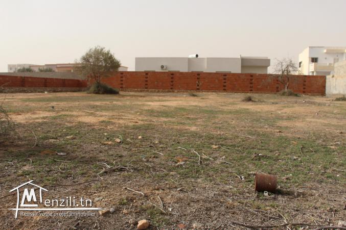 Terrain 990 m2 cloturé à Saltnia