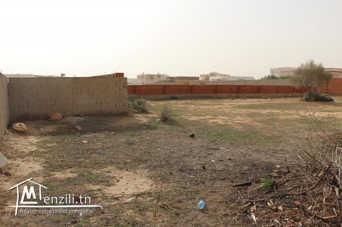 Terrain 990 m2 cloturé à Saltnia