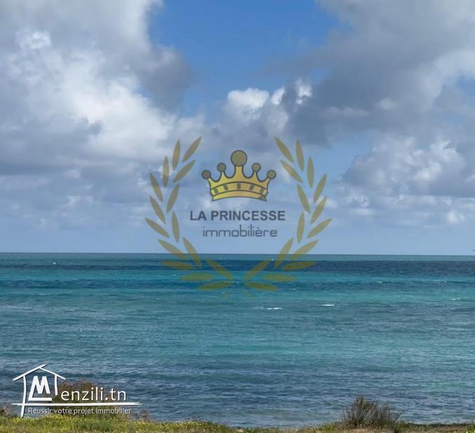 Vente - Terrain constructible pied dans l'eau à Gammarth