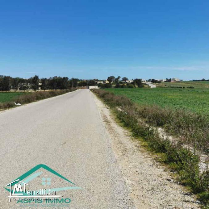 VT804Terrain 3207 m² à wed khatf Kelibia