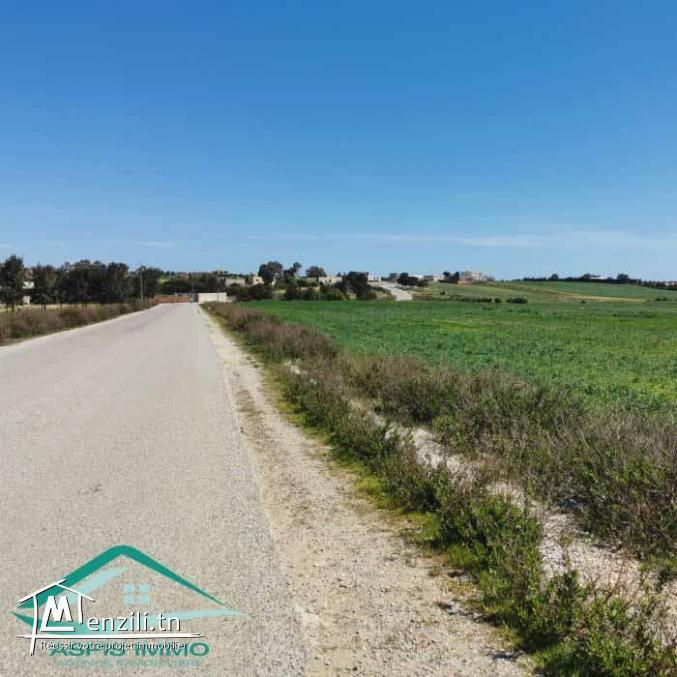 VT804Terrain 3207 m² à wed khatf Kelibia