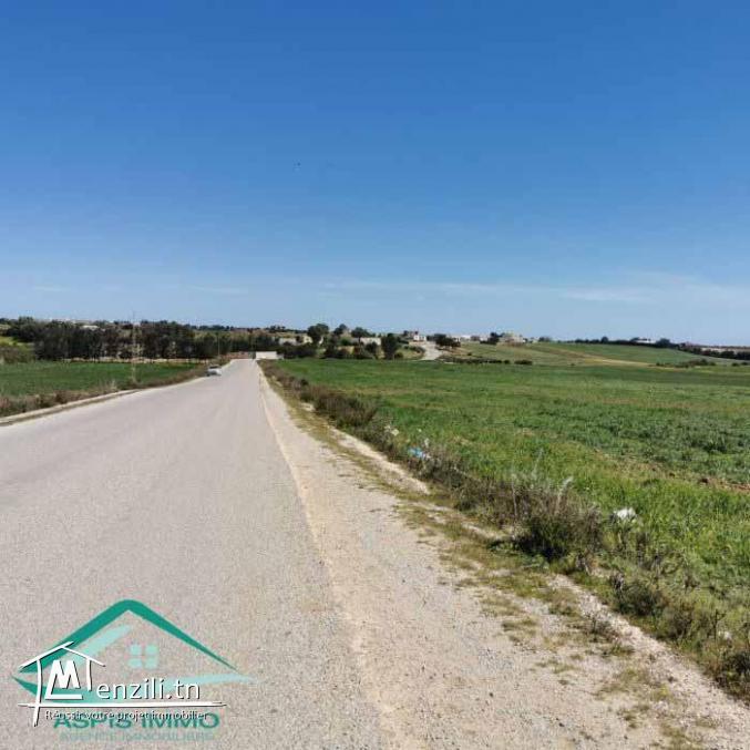 VT804Terrain 3207 m² à wed khatf Kelibia