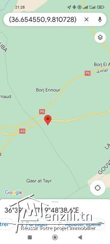 Terrain agricole borj el omri