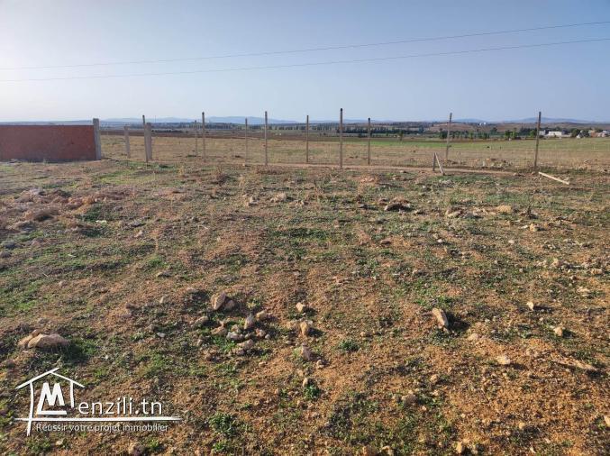 Terrain agricole borj el omri