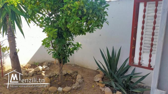 Tazarka 280dt semaine 53541648