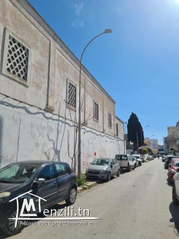 terrain louis braille