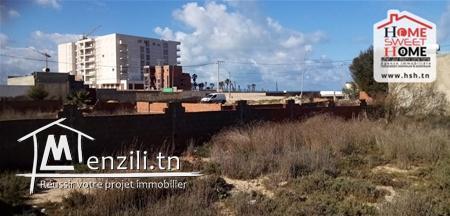 Terrain  Yanis A Vendre A Raoued Plage