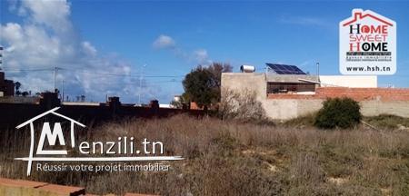 Terrain Yanis A Vendre A Raoued Plage