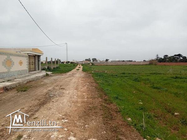 un terrain centre ville dar Allouche 5 min de la plage