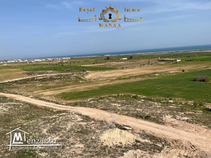 Des terrains à vendre: Chatt zouhour _Libna