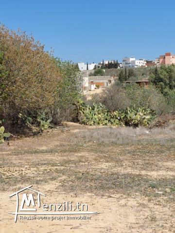 Terrain avec beaucoup de potentiel