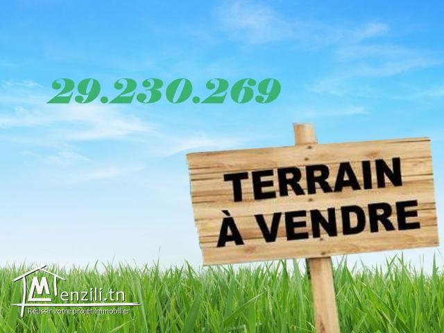 للبيع أراضي ذات صبغة سكنية في وسط بلاد دار علوش