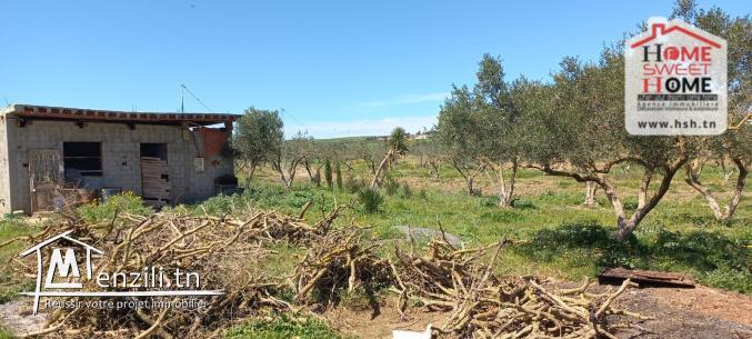 Terrain Agricole à Vendre à Menzel Bourguiba