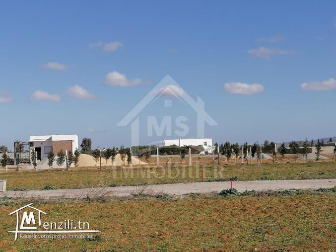 Terrain de 557 m² à vendre à 90 MD à Hammamet Sud 51355351