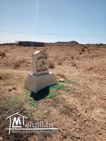 opportunuite d'investissement