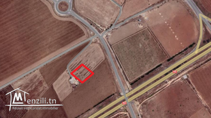 Terrain pour project