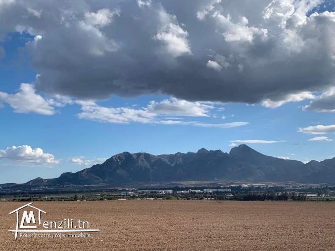 A vendre ferme 18 Ha