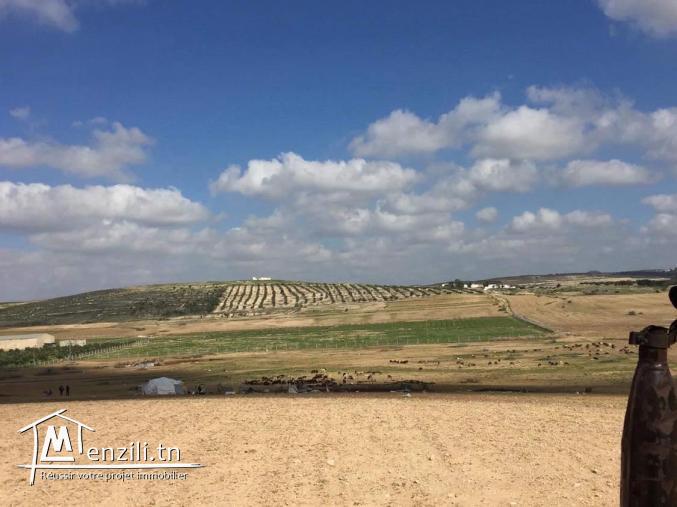 A vendre ferme 18 Ha