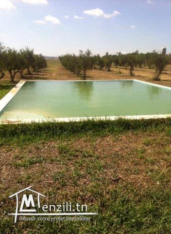 A vendre ferme 18 Ha