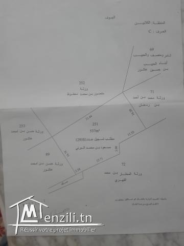 vente des terrains a kerkennah