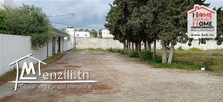 Terrain Luna À Vendre À La Soukra