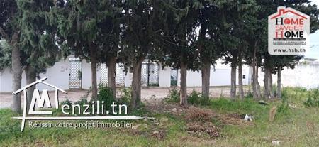 Terrain Luna À Vendre À La Soukra