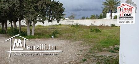 Terrain Luna À Vendre À La Soukra