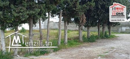 Terrain Luna À Vendre À La Soukra