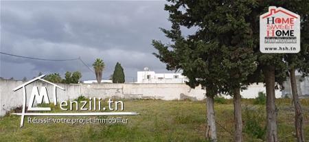 Terrain Luna À Vendre À La Soukra