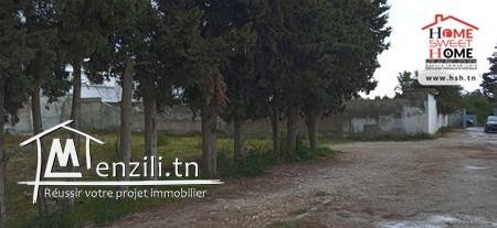 Terrain Luna À Vendre À La Soukra