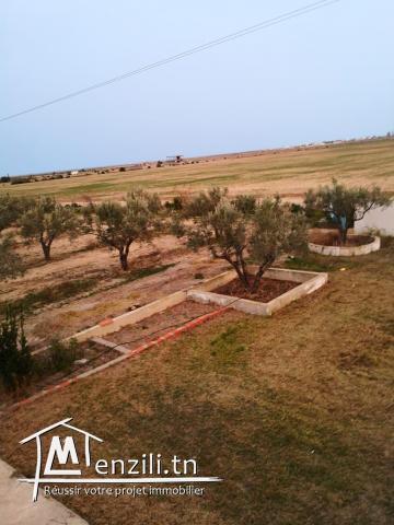 Terrain Salloum Bouficha