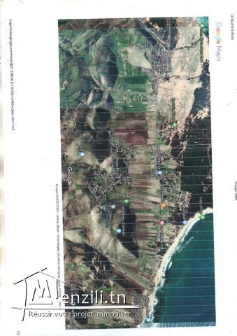 ارض للبيع براس انجلة