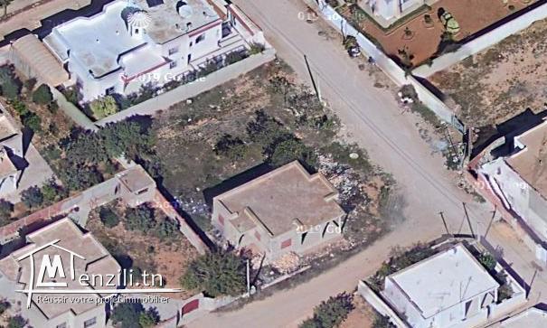 Terrain entre Sakiet Ezzit et Chihia Km 6.5